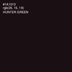 #1A1013 - Hunter Green Color Image